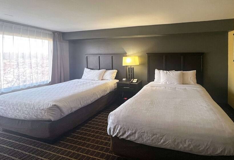 Номер Стандарт 2 Двуспальные Кровати, Clarion Hotel & Suites