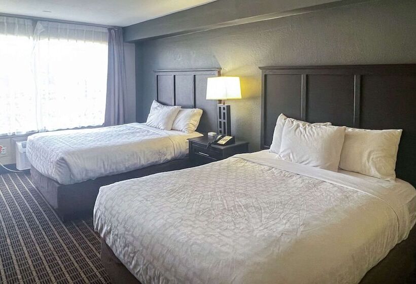 Номер Стандарт 2 Двуспальные Кровати, Clarion Hotel & Suites