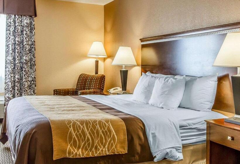 Стандартный Номер Кровать Кинг, Quality Inn & Suites