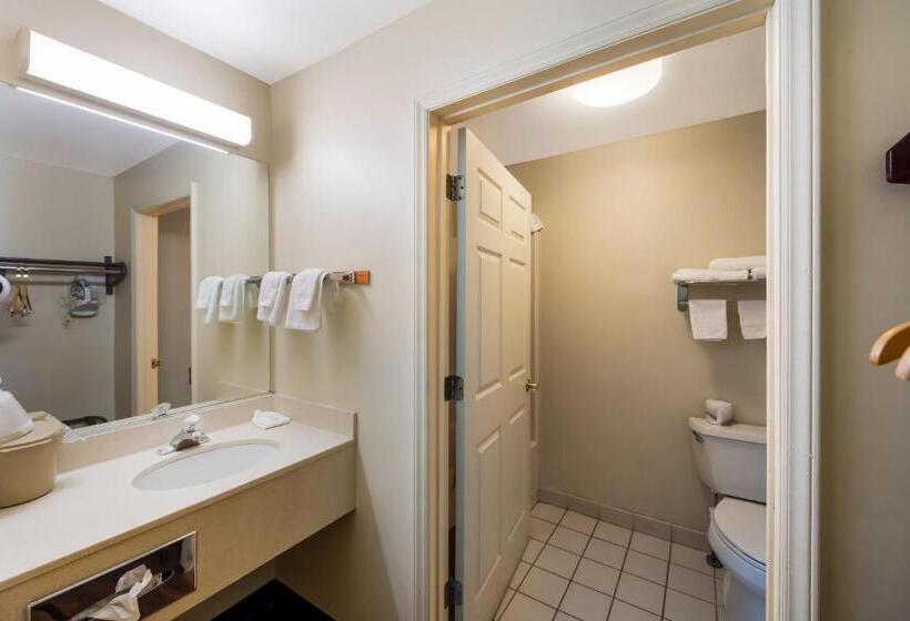 اتاق سوپریور با تخت بزرگ, Red Roof Inn Hendersonville