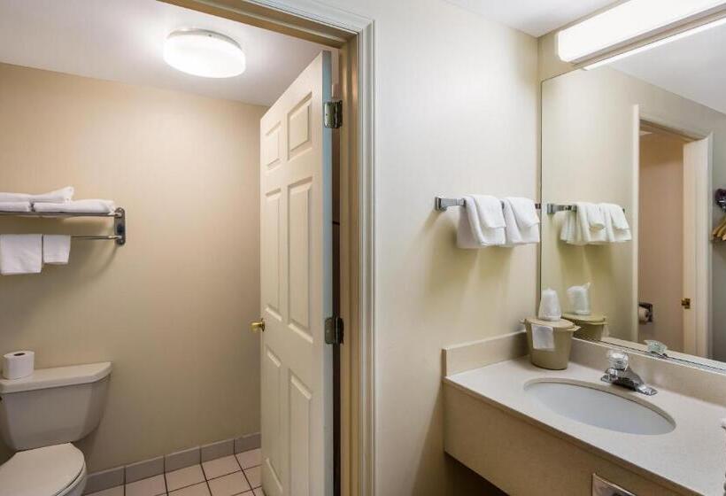 اتاق سوپریور با تخت بزرگ, Red Roof Inn Hendersonville