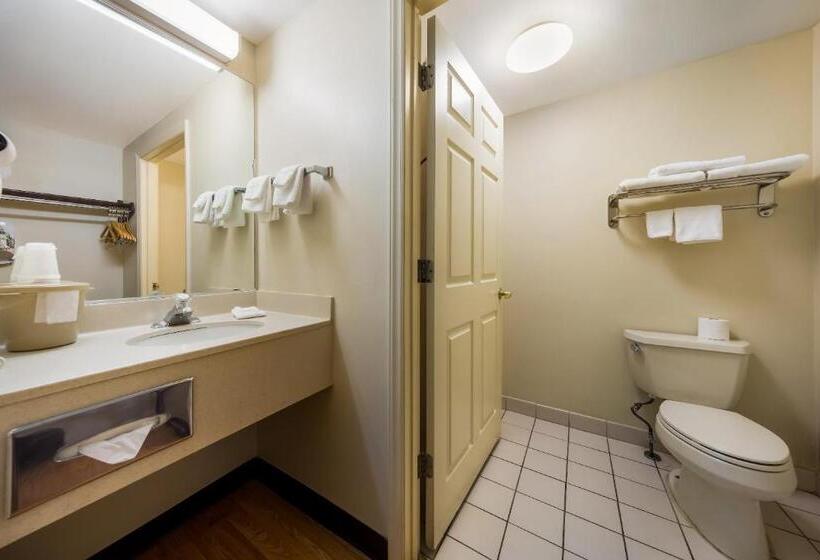 اتاق سوپریور با تخت بزرگ, Red Roof Inn Hendersonville