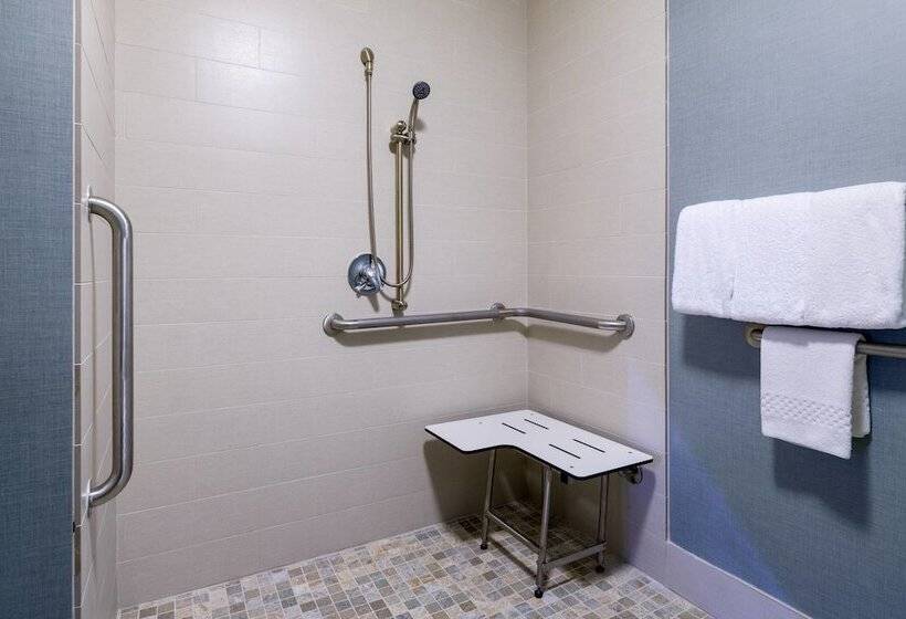 Люкс, Residence Inn By Marriott Boston Framingham