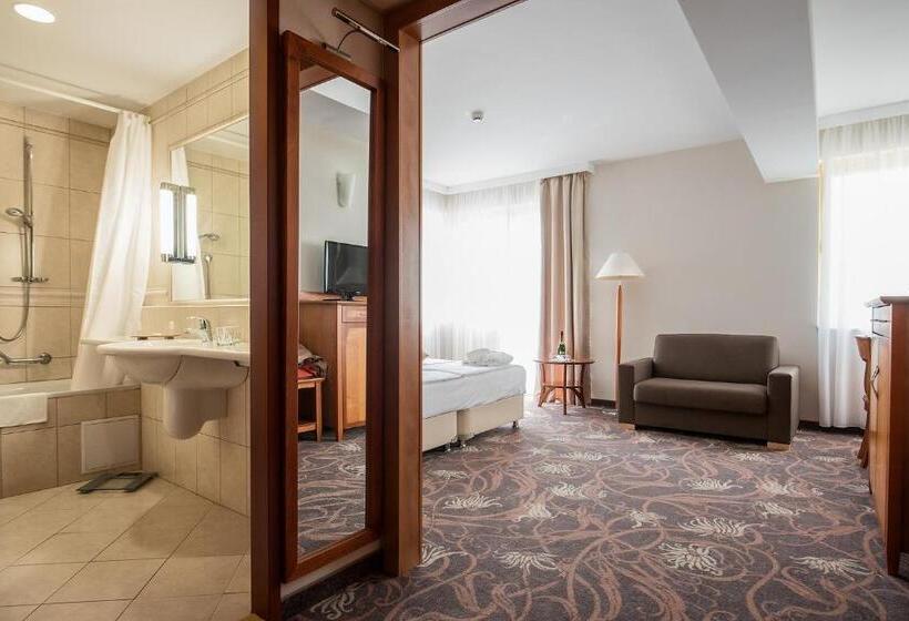 Номер Стандарт с доступом в Спа, Vitalmed Hotel Sárvár