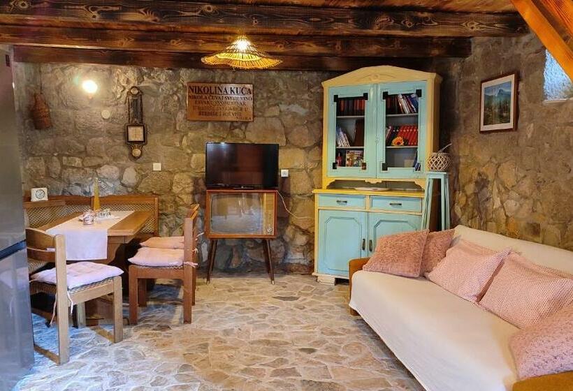 家庭工作室, Ethno Village Kokorici