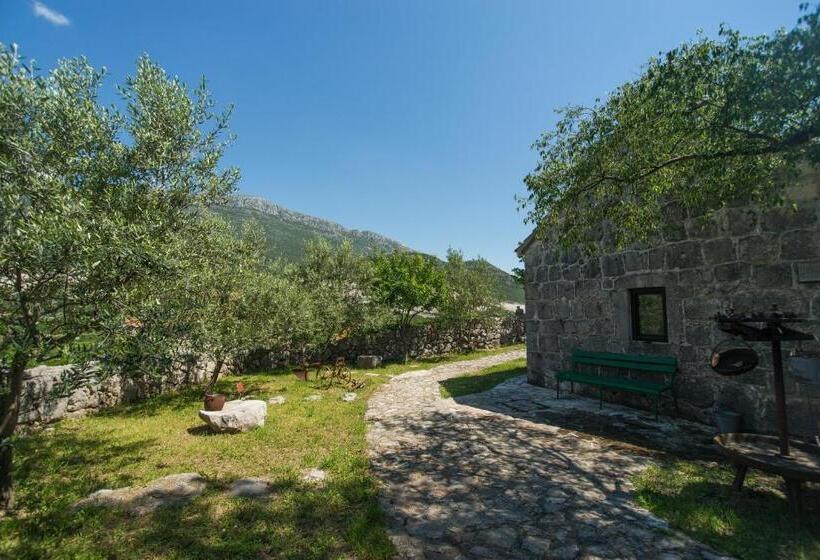 家庭工作室, Ethno Village Kokorici