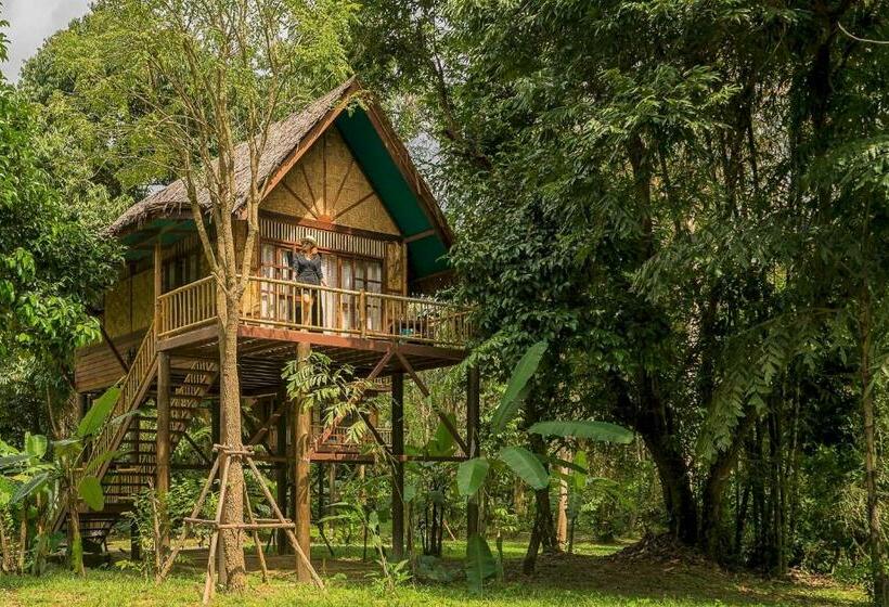 Номер Стандарт, Our Jungle Camp   Eco Resort