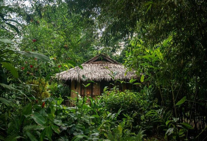 Дом 1 Спальня, Our Jungle Camp   Eco Resort