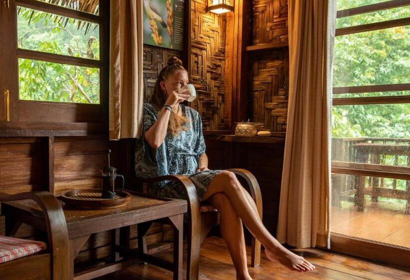 Номер Стандарт, Our Jungle Camp   Eco Resort