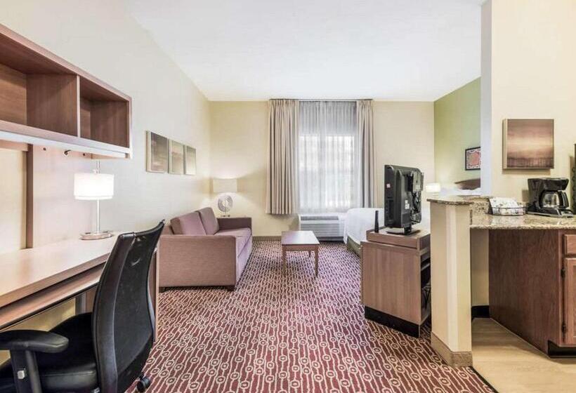 Студия Стандарт, Birch Hill Suites Extended Stay   Blue Ash