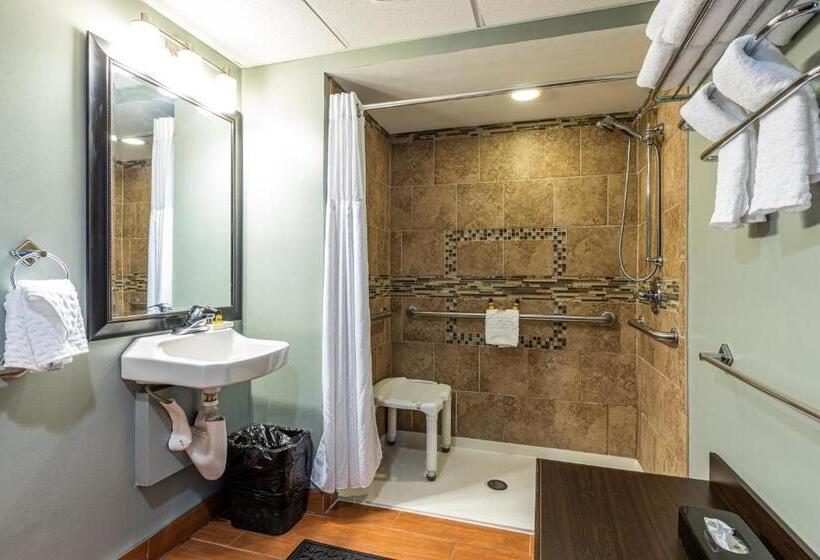 اتاق استاندارد با تخت بزرگ برای معلولان, Sandcastle Resort