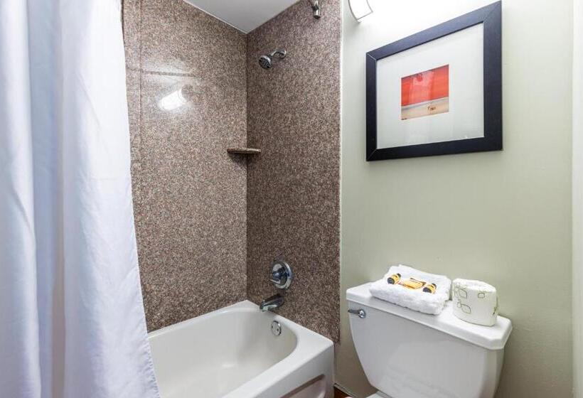 اتاق استاندارد با چشم‌انداز دریا, Sandcastle Resort
