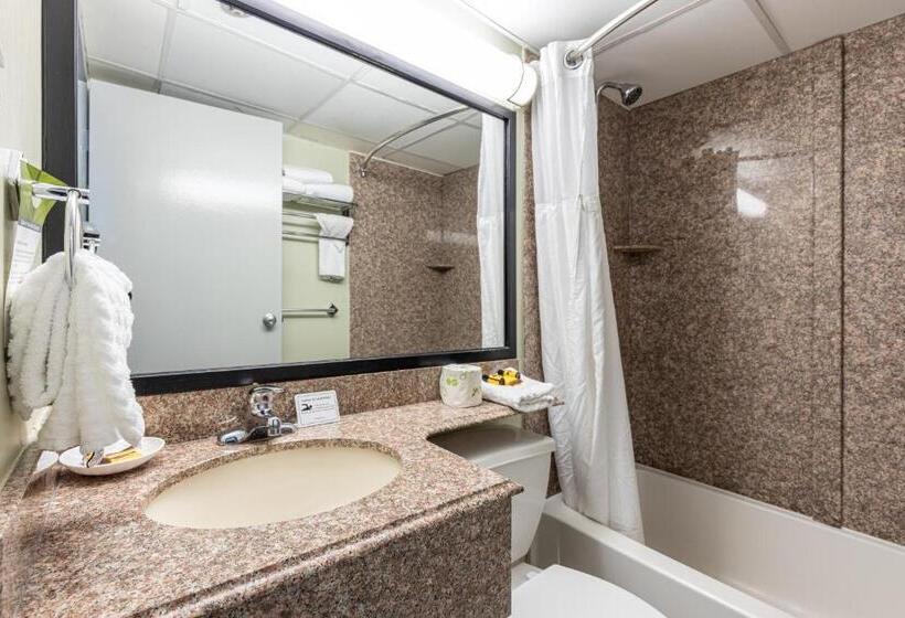 اتاق استاندارد با 2 تخت دوبل, Sandcastle Resort