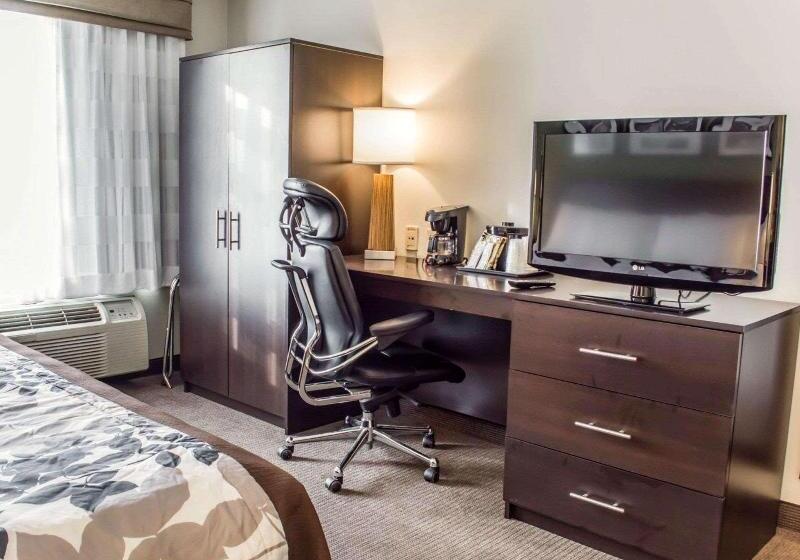 اتاق استاندارد با تخت بزرگ, Sleep Inn Richmond North