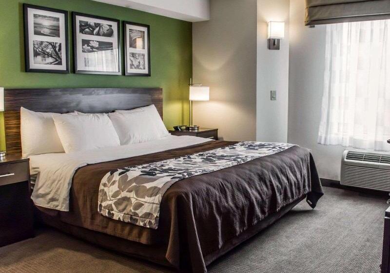 اتاق استاندارد با تخت بزرگ, Sleep Inn Richmond North