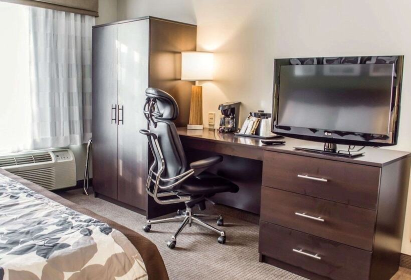 اتاق استاندارد با 2 تخت دوبل, Sleep Inn Richmond North