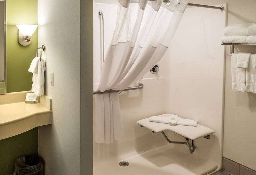 Люкс Адаптированный для Инвалидов, Sleep Inn & Suites Cross Lanes  South Charleston