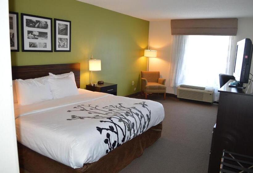 Стандартный Номер Кровать Кинг, Sleep Inn & Suites Virginia Horse Center