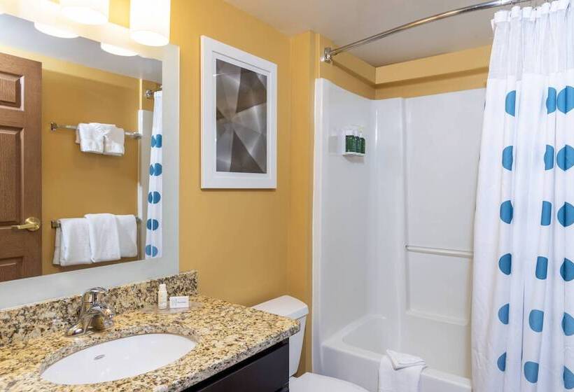 스위트, Towneplace Suites By Marriott East Lansing