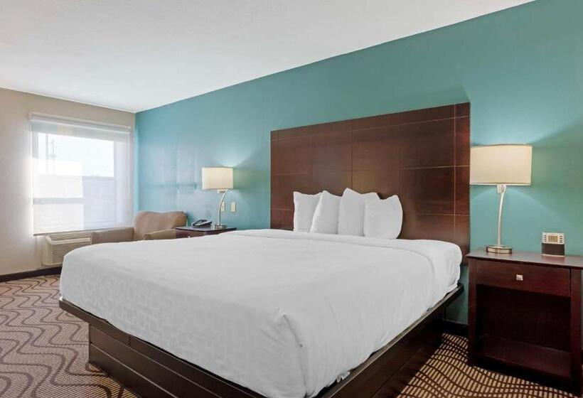 장애인을 위한 킹사이즈 침대 스탠다드 룸, Best Western Plus Lonoke