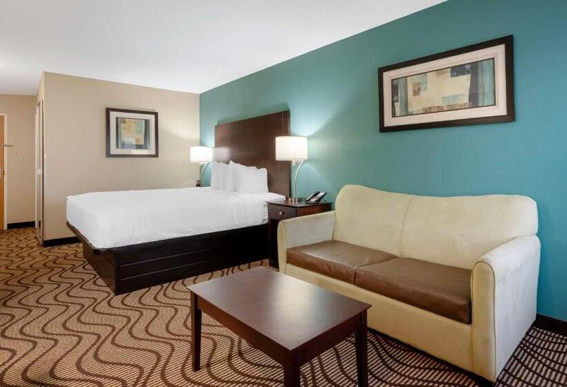 스탠다드 룸 킹사이즈 침대, Best Western Plus Lonoke