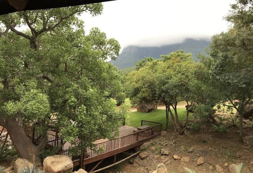 Deluxe Tent, Amafu Forest Lodge