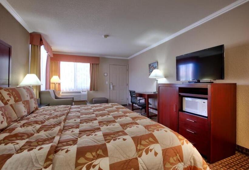 Номер Стандарт Индивидуальный, The Views Inn Sedona