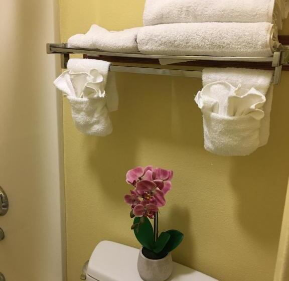 Quarto Estandar Cama King, Oceanview Motel