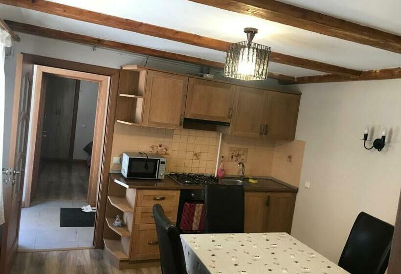 Apartament 2 Dormitoris, Pensiunea Haiduc Sacele Brasov