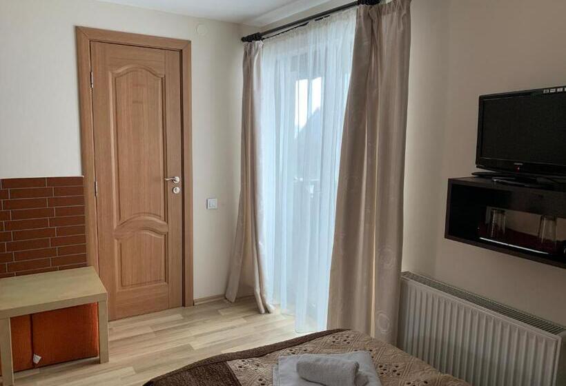Habitació Deluxe, Pensiunea Haiduc Sacele Brasov
