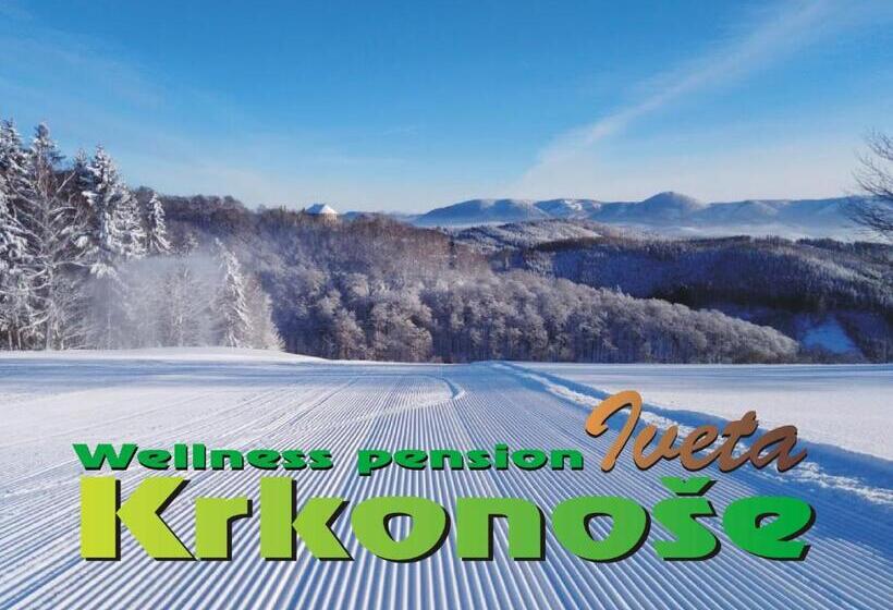 Апартаменты Deluxe 1 Спальня, Wellness Pension Iveta
