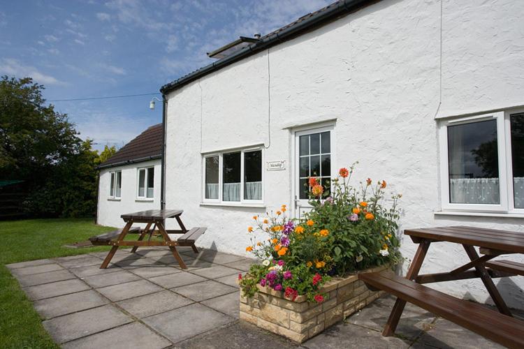 Дом 3 Спальни, Doubleton Farm Cottages