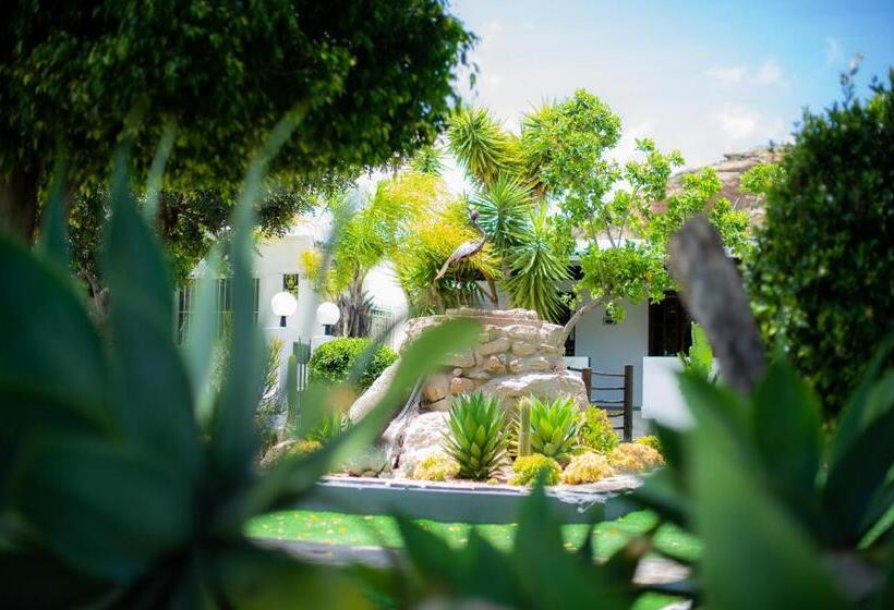 اتاق استاندارد با تخت بزرگ, Kleinplasie Guesthouse