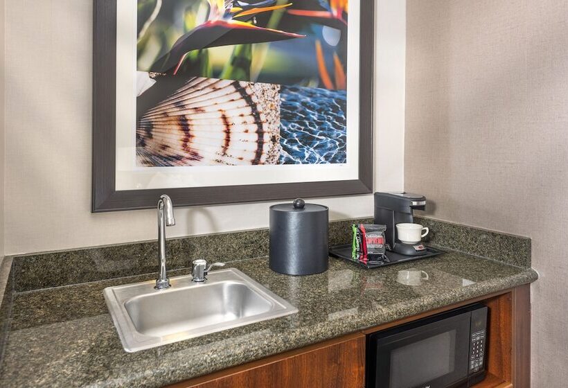 장애인을 위한 킹사이즈 침대 스탠다드 룸, Ayres Hotel Laguna Woods   Aliso Viejo