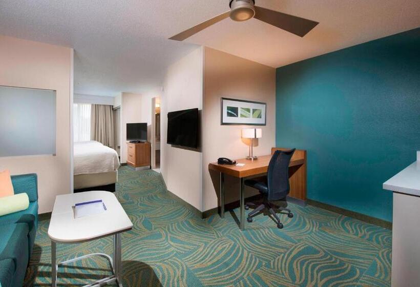 Люкс, Springhill Suites By Marriott Atlanta Alpharetta