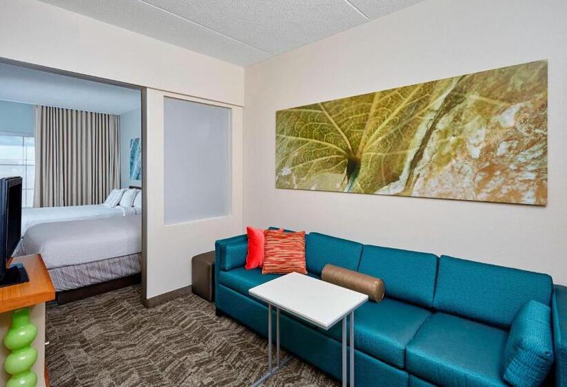 Lakosztály, Springhill Suites By Marriott Chicago Schaumburg/woodfield Mall