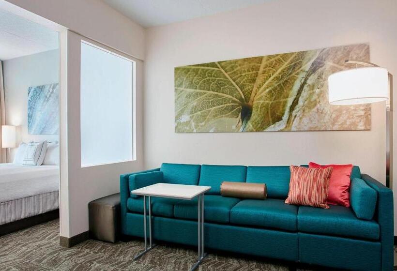 Mozgáskorlátozott Suite, Springhill Suites By Marriott Chicago Schaumburg/woodfield Mall