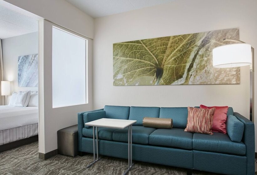Lakosztály, Springhill Suites By Marriott Chicago Schaumburg/woodfield Mall