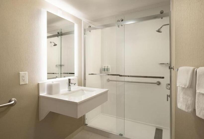Suíte Executiva Cama king, Springhill Suites Fort Worth University