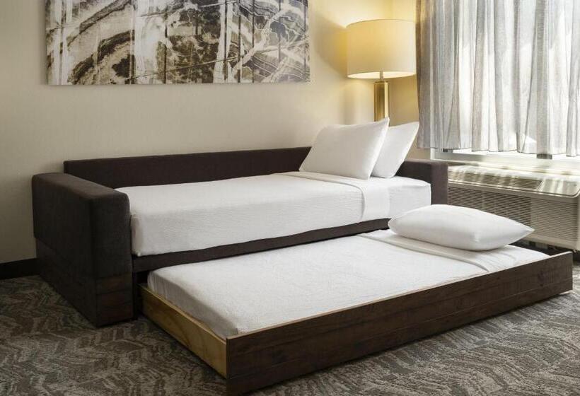 Suíte Cama King, Springhill Suites Fort Worth University