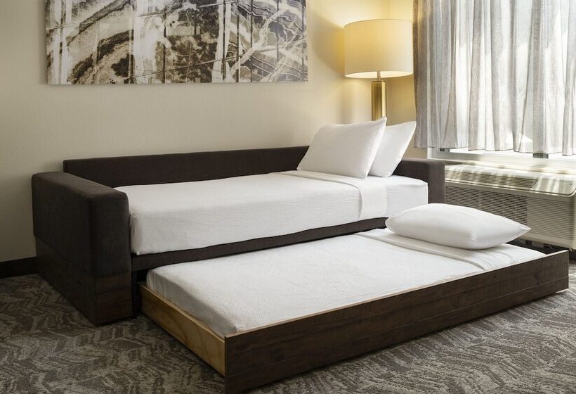 Suíte para Deficientes Físicos, Springhill Suites Fort Worth University