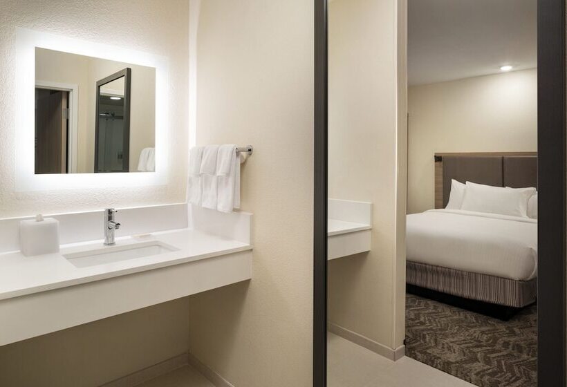 Suíte para Deficientes Físicos, Springhill Suites Fort Worth University