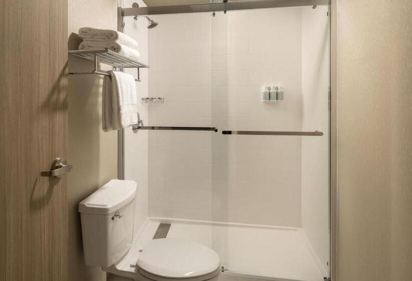 Suíte Cama Queen, Springhill Suites Fort Worth University