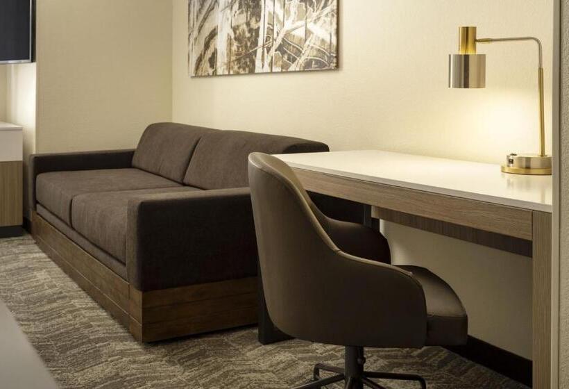 Suíte Cama Queen, Springhill Suites Fort Worth University