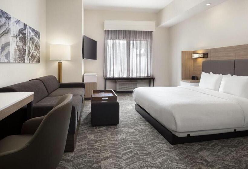 Suíte Executiva Cama king, Springhill Suites Fort Worth University