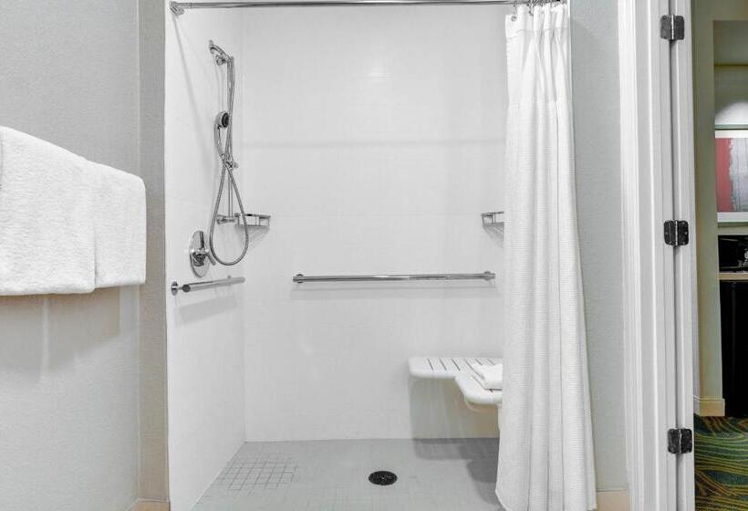 スイート, Springhill Suites Jacksonville
