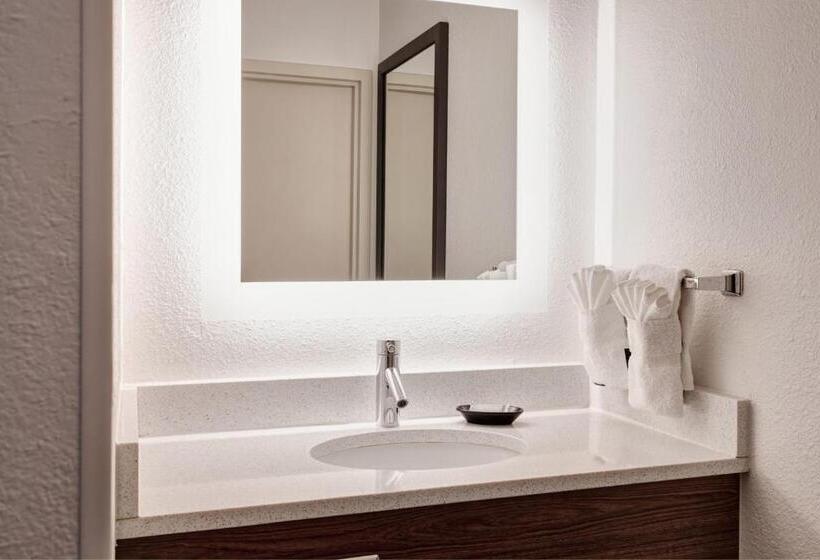 סטודיו סטנדרט, מיטה זוגית, Springhill Suites Phoenix Downtown