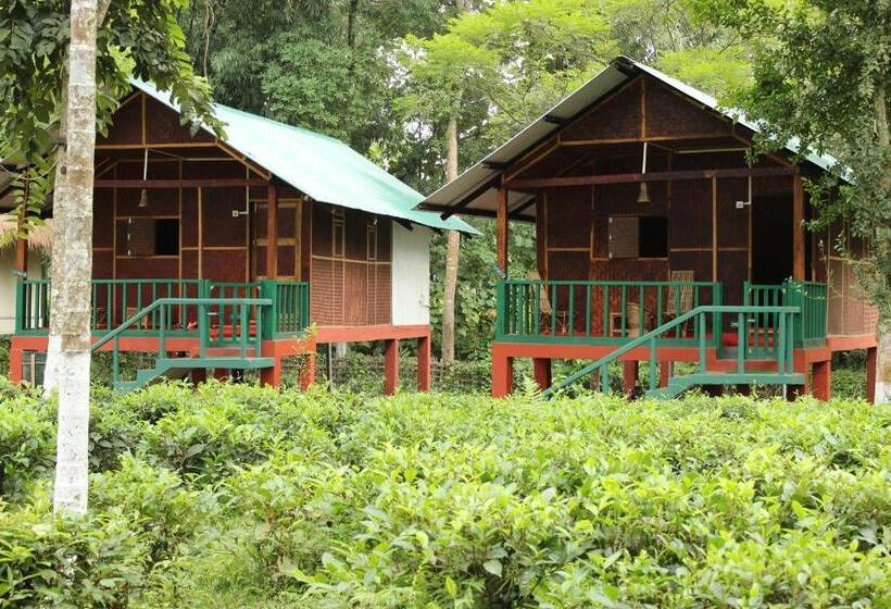 带大床的标准间, Nature Hunt Eco Camp