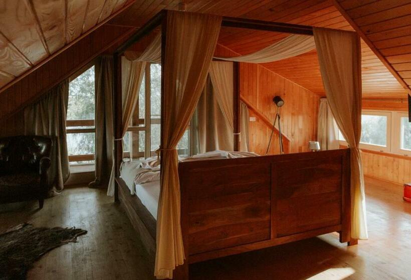 اتاق استاندارد با تخت بزرگ, Living In Delta   Casa De Vacanta