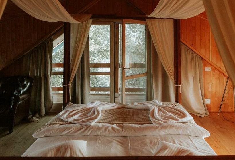 اتاق استاندارد با تخت بزرگ, Living In Delta   Casa De Vacanta